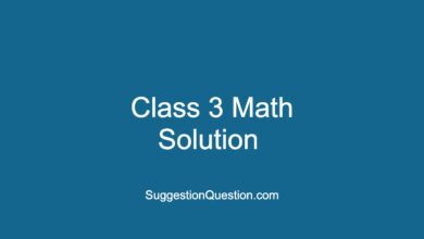 Class 3 Math Solution PDF Download