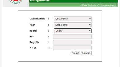 Dhaka Education Board SSC Result 2022