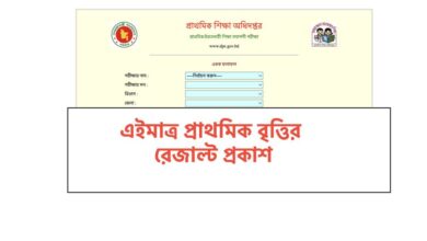 dpe.gov.bd Class 5 Scholarship Result 2023 Primary Britti Porikkha