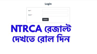 NTCRA Result 2023 Check Link ngiresult.teletalk.com bd Cycle 4