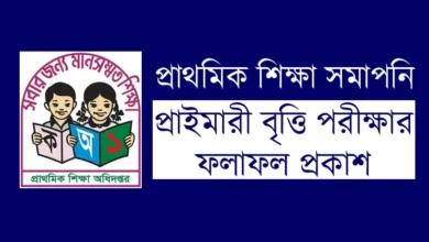 Primary Scholarship Result 2023 www.dpe.gov bd Published Today 28 February Across Bangladesh