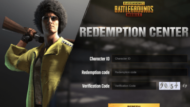 PUBG Redeem Codes 2023 Today Mobile & PC – PUBG New Free State Promo Codes