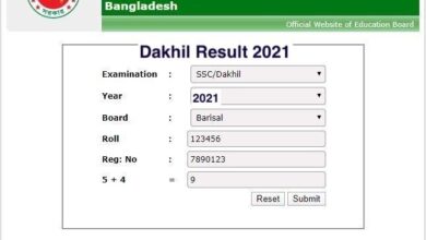 Dakhil Result 2023 Marksheet With Number