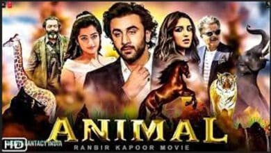 Animal movie full movie