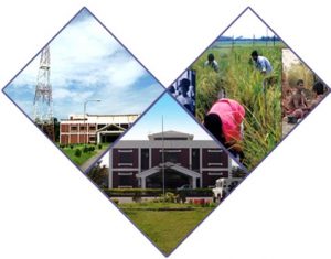 Bangladesh Open University HSC Result