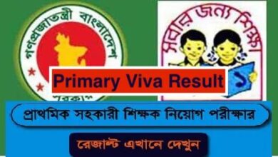 DPE Result 2023 dpe.teletalk.com.bd (Primary MCQ Result PDF)