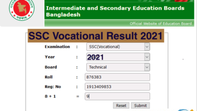SSC Vocational Result 2024 Marksheet With Number www.bteb.gov.bd