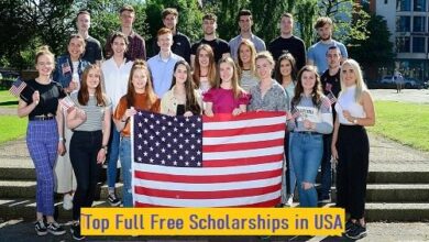 Top 25 Full Free Scholarships in USA For International Students 2024