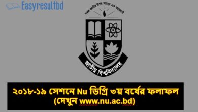 Nu ডিগ্রি ৩য় বর্ষের ফলাফল ২০২৪