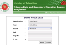 Dakhil Result 2024 Marksheet Number
