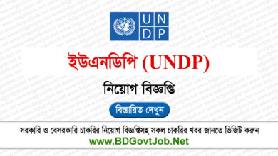 UNDP NGO Job Circular 2024 - United Nations Development Programme