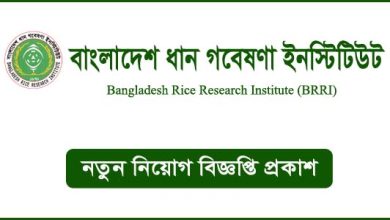 বাংলাদেশ ধান গবেষণা ইনস্টিটিউট নিয়োগ বিজ্ঞপ্তি